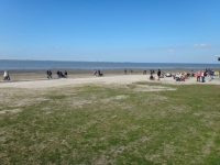 Hundestrand-Dangast-1.jpg